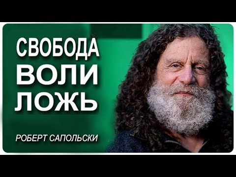 Видео: Роберт Сапольски - Гиены, Буддизм и Нейрофизиология