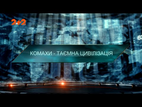 Видео: Затерянный мир – Насекомые – тайная цивилизация. 3 сезон 6 выпуск