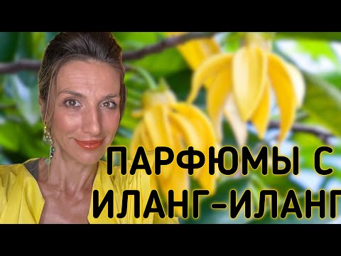 Видео: ЛУЧШИЕ ПАРФЮМЫ С ИЛАНГ-ИЛАНГОМ | ОТПУСКНЫЕ АРОМАТЫ 🍸🏝️🌺🍋☀️