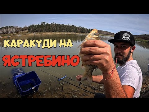 Видео: ЯЗОВИР ЯСТРЕБИНО. РИБОЛОВ на КАРАКУДИ на МЕТОД ФИДЕР!