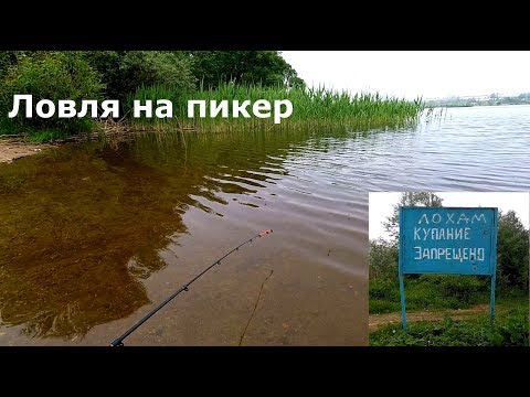 Видео: Ловля плотвы на пикер. Ожидание конца нерестового запрета на щуку