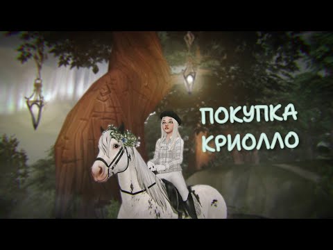 Видео: Покупка криолло / стар стейбл онлайн