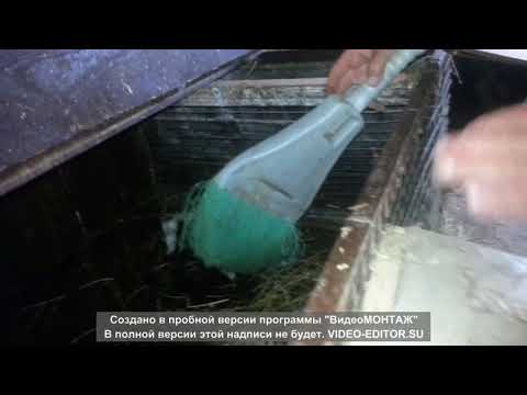 Видео: КОКЦИДИОЗ У КРОЛЬЧАТ?САМЫЙ ПЕРВЫЙ ЭТАП БОРЬБЫ С ЭТОЙ ЗАРАЗОЙ!!!!!!!