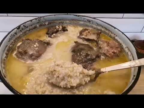 Видео: Супер питание для тибетского мастифа