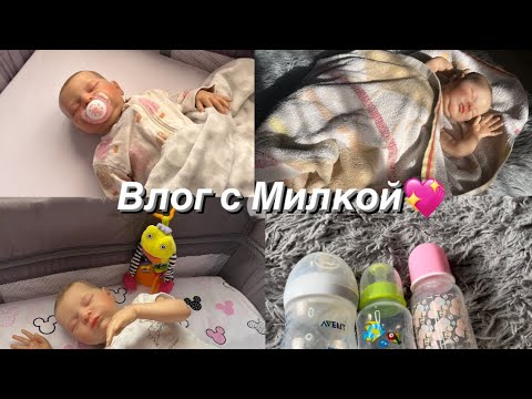 Видео: Обед с реборном Милкой💞