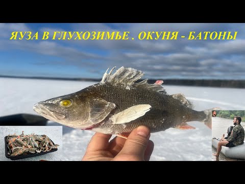 Видео: ЯУЗА В ГЛУХОЗИМЬЕ . ОКУНЯ - БАТОНЫ