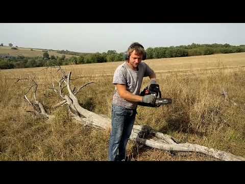 Видео: Уборка валежника. Расчистка территории.