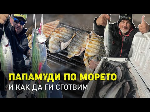 Видео: Морето завря от паламуди!... / Как да ги сготвим най-вкусно? - 1 част