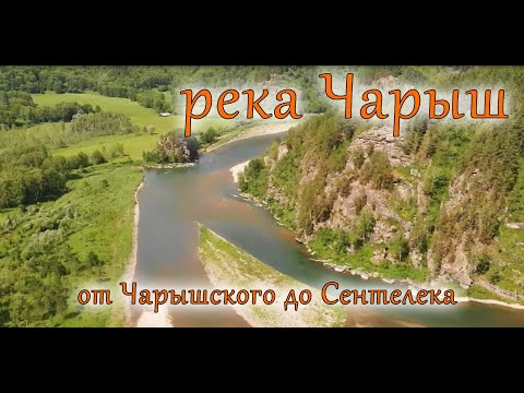 Видео: Река Чарыш, водомоторная прогулка.