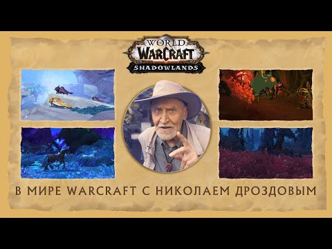 Видео: В мире Warcraft с Николаем Дроздовым