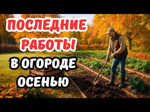 Видео: Как Я Готовлю Огород К Зиме — Без Паники, Но По Уму