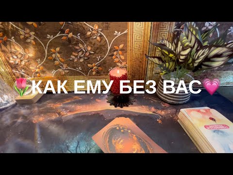 Видео: 12 ноября 2025 г.