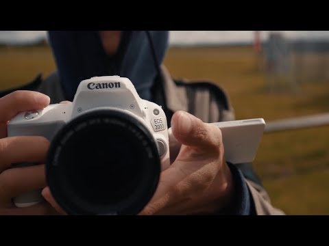 Видео: Kai W по-русски: Обзор Canon 200D/Rebel SL2/Kiss X8