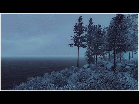 Видео: Сильный зимний шторм на озере┇Воющий ветер и метель┇Звуки для сна и релаксации