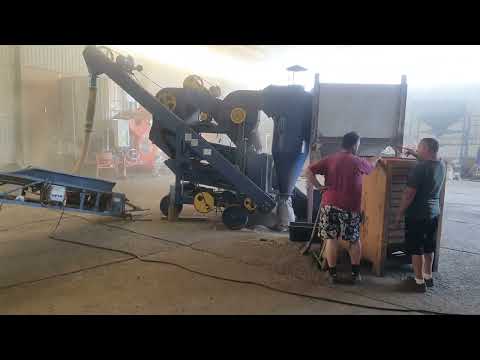 Видео: Очистка гороха на ОВС-25ЦБ с циклоном и бункером #зерноочистительнаямашина #graincleaner #веялка