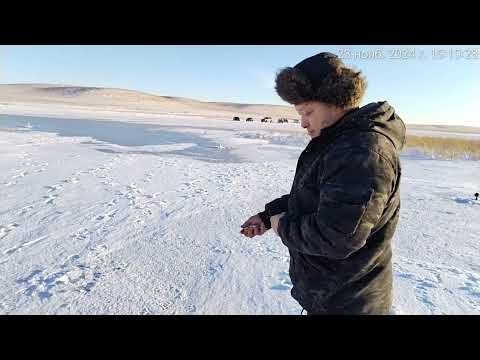 Видео: Два дня на рыбалке