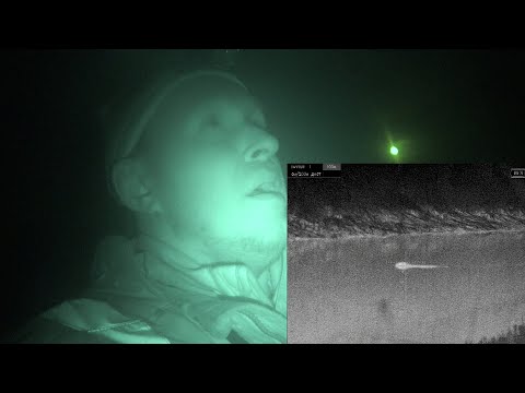 Видео: Охота на бобра #40 \ Нужно точнее стрелять