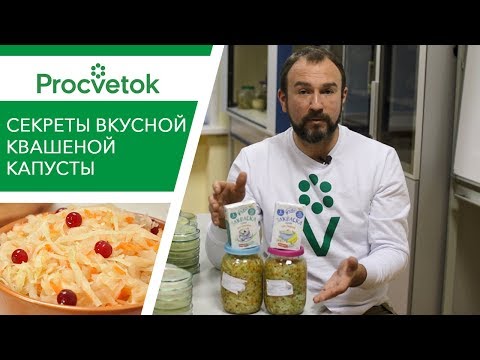 Видео: Пора квасить! Готовим вкусную и полезную квашеную капусту