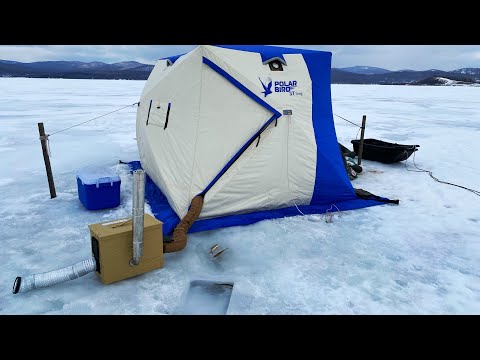 Видео: ВСЁ СДОХЛО! ТЫСЯЧИ ТРУПОВ НА ДНЕ! замор на озере и рыбалка с ночевкой