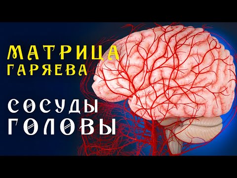 Видео: Матрица Гаряева Полная Очистка Сосудов Головы ☀️ Квантовое Исцеление Сосудов Звуком