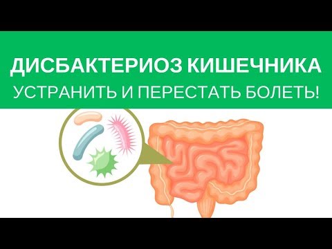 Видео: Дисбактериоз Кишечника. Микробы в кишечнике. Как избавиться и восстановить полезные бактерии?