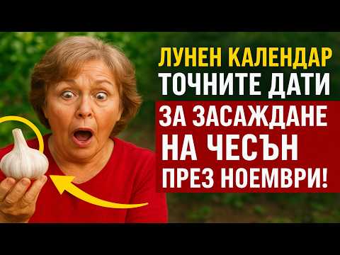 Видео: ЛУНЕН КАЛЕНДАР: