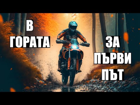 Видео: За първи път в гората с Мотор - КТМ SX-F 350 - Through The VISOR Episode 12
