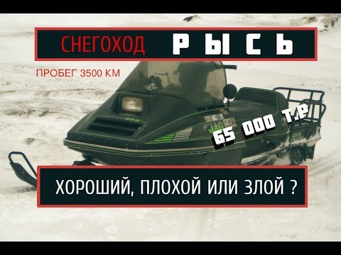 Видео: СНЕГОХОД РЫСЬ. Обзор техники с пробегом.