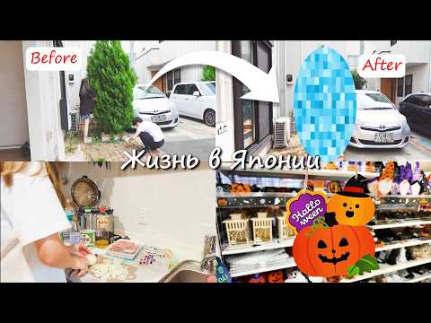 Видео: [Жизнь в Японии]Япония Влог Mы занялись территорией вокруг дома.