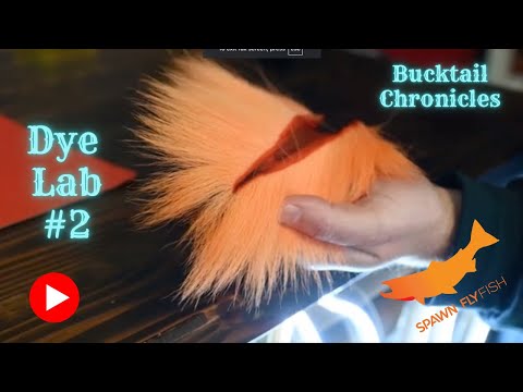 Видео: Как покрасить бактейл — урок по окрашиванию бактейла