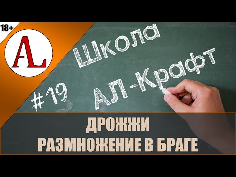 Видео: Размножение дрожжей в браге. Школа АЛ-Крафт - #19. Проект АЛ-Крафт.
