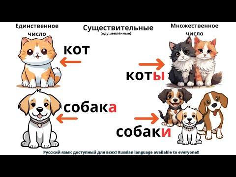 Видео: РКИ ,единственное и множественное число существительных ,словарный запас, карточки PDF под видео