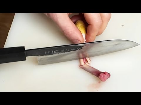 Видео: TOJIRO SAKUYA SANTOKU тест ножа на рез по морковки, лука и косточки после переделанной геометрии