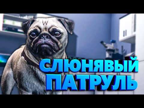 Видео: МОПС УСТРОИЛ СЛЮНЯВЫЙ ПАТРУЛЬ🐶в GTA 5