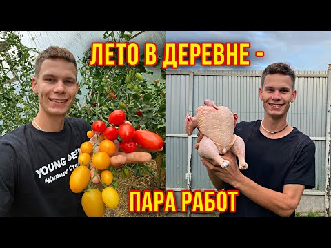 Видео: Летний день - год кормит !👩‍🌾 Жизнь в деревне / Огород мечты 🌱 Кролики, цыплята, утята 🐣