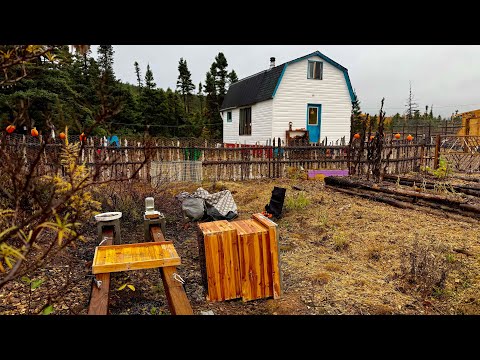 Видео: Медведь нашёл наш улей. Взлёты и падения домашнего хозяйства | Выпуск 20