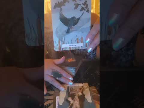 Видео: СКОРПИОН♏️ ЭТО ТВОЕ ИЗОБИЛИЕ И ВОЗРОЖДЕНИЕ🐦‍🔥ТВОИ ПРЕДКИ ГОРДЯТСЯ🦄ТЫ ИЗБРАННЫЙ, НЕСИ СВЕТ🌟🌏🌞