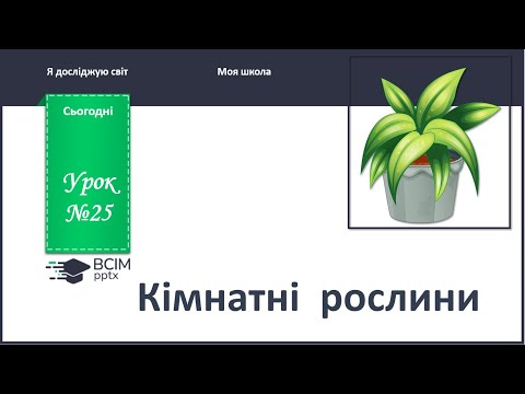 Видео: ЯДС 1 клас. Урок 25. Кімнатні рослини.