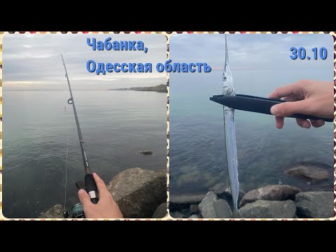 Видео: Рыбалка на саргана в Черном море. Ловля саргана на пилькер. Как оснастить пилькер на саргана?