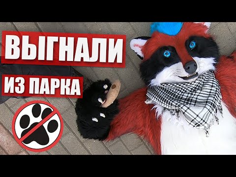 Видео: Нас ВЫГНАЛИ из ПАРКА ✅ ФУРРИ встреча в МОСКВЕ