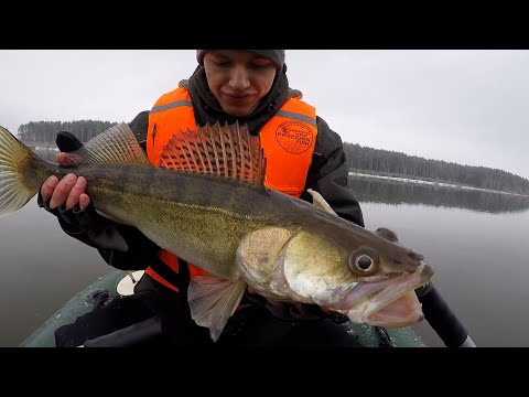 Видео: ТРОФЕЙНЫЙ СУДАК | Ловля судака на НЕМАНЕ