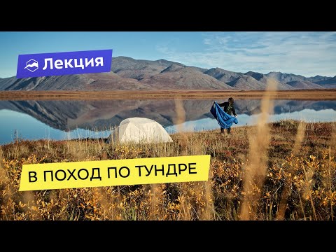 Видео: Организация походов по тундре