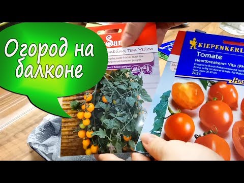 Видео: 21. Я решила вырастить огород на балконе! Проращиваем семена помидоров, огурцов, гороха и зелени