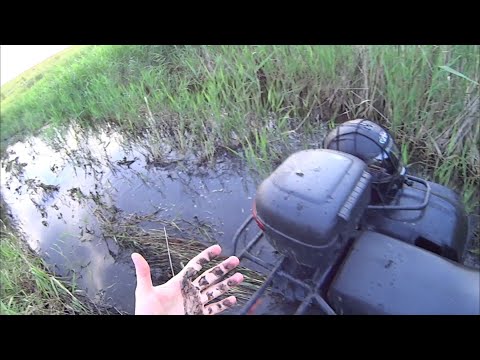 Видео: ПО БОЛОТУ ЧЕРЕЗ КАМЫШИ!!! КВАДРОЦИКЛ ХАММЕР 250