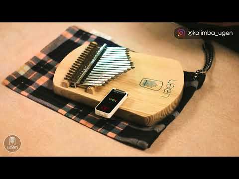 Видео: Как настроить калимбу? Краткий гайд по настройке калимбы.