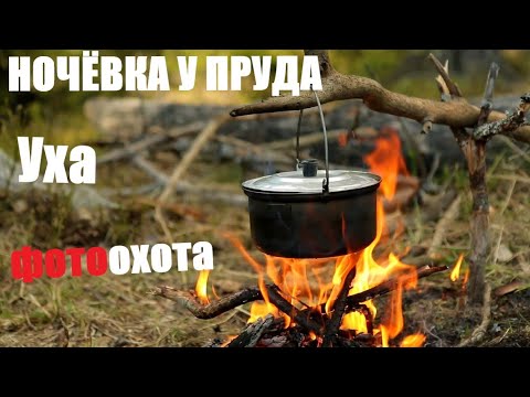 Видео: ночевка на живописном пруду / рыбалка и фотоохота