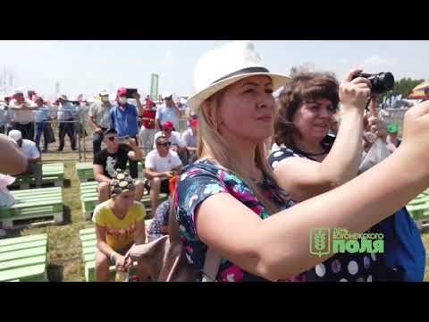 Видео: День Воронежского поля 2021