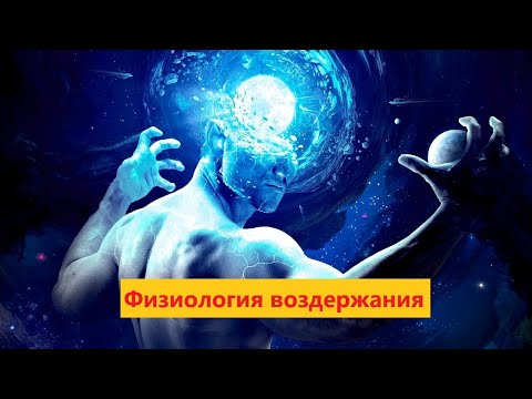 Видео: О физиологической пользе воздержания