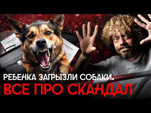 Видео: Нападения собак: эмоции против морали | Агрессивные стаи, закон о защите животных, коррупция