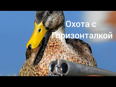 Видео: охота на утку с горизонталкой 2022/иж 58 тоз 34